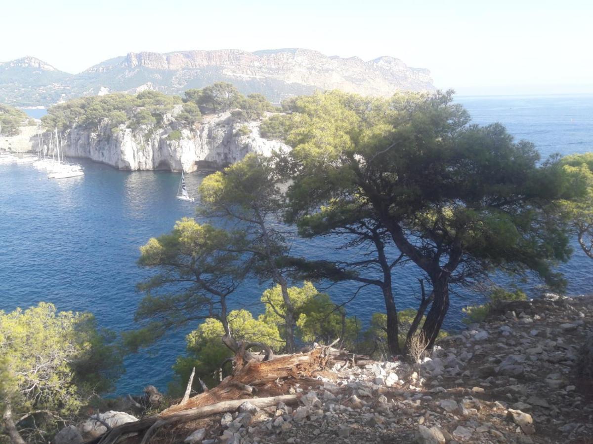 Reve De Provence Villa Avec Jardin Et Piscine Forcalquier Zewnętrze zdjęcie