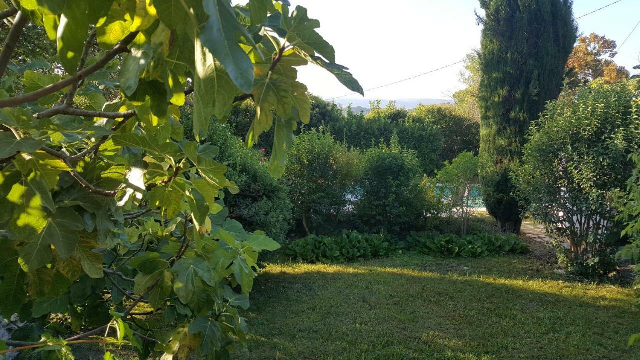 Reve De Provence Villa Avec Jardin Et Piscine Forcalquier Zewnętrze zdjęcie